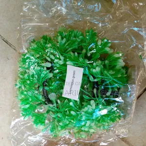 Aquariums Round Plants - ( Cave-Like )