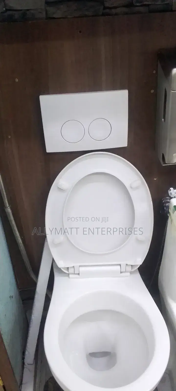 Wallhung Toilet and Concealed Cistern
