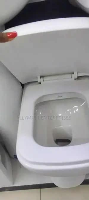 Square Back to Wall Toilet