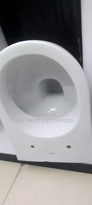 Oval Back to Wall Toilet