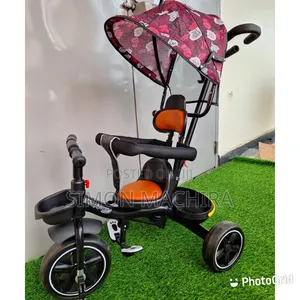 Tricycle With Canopy
