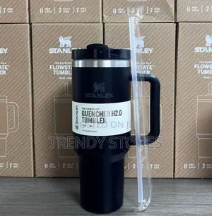 Black Stainless Steel Stanley Mug