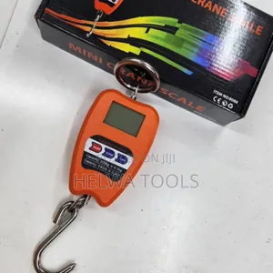 Crane Scale, 200kgs Hanging Scale