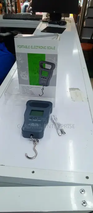 Portable Scale