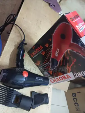 Chaoba Professional Hair Dryer