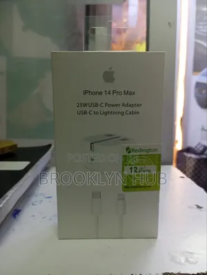 25 Watts iPhone Charger