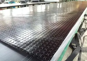 Brown Rubber Coin Carpets