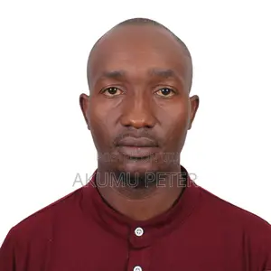 Petroleum Engineer
