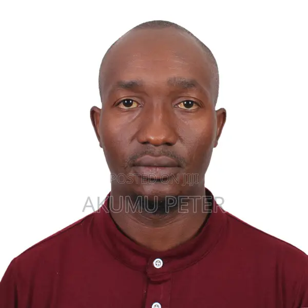 Petroleum Engineer