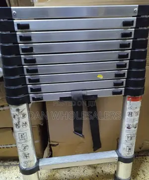 Telescopic Ladder