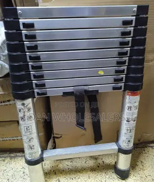 Telescopic Ladder 2.9 M