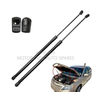 Toyota Camry Bonnet Shocks Set
