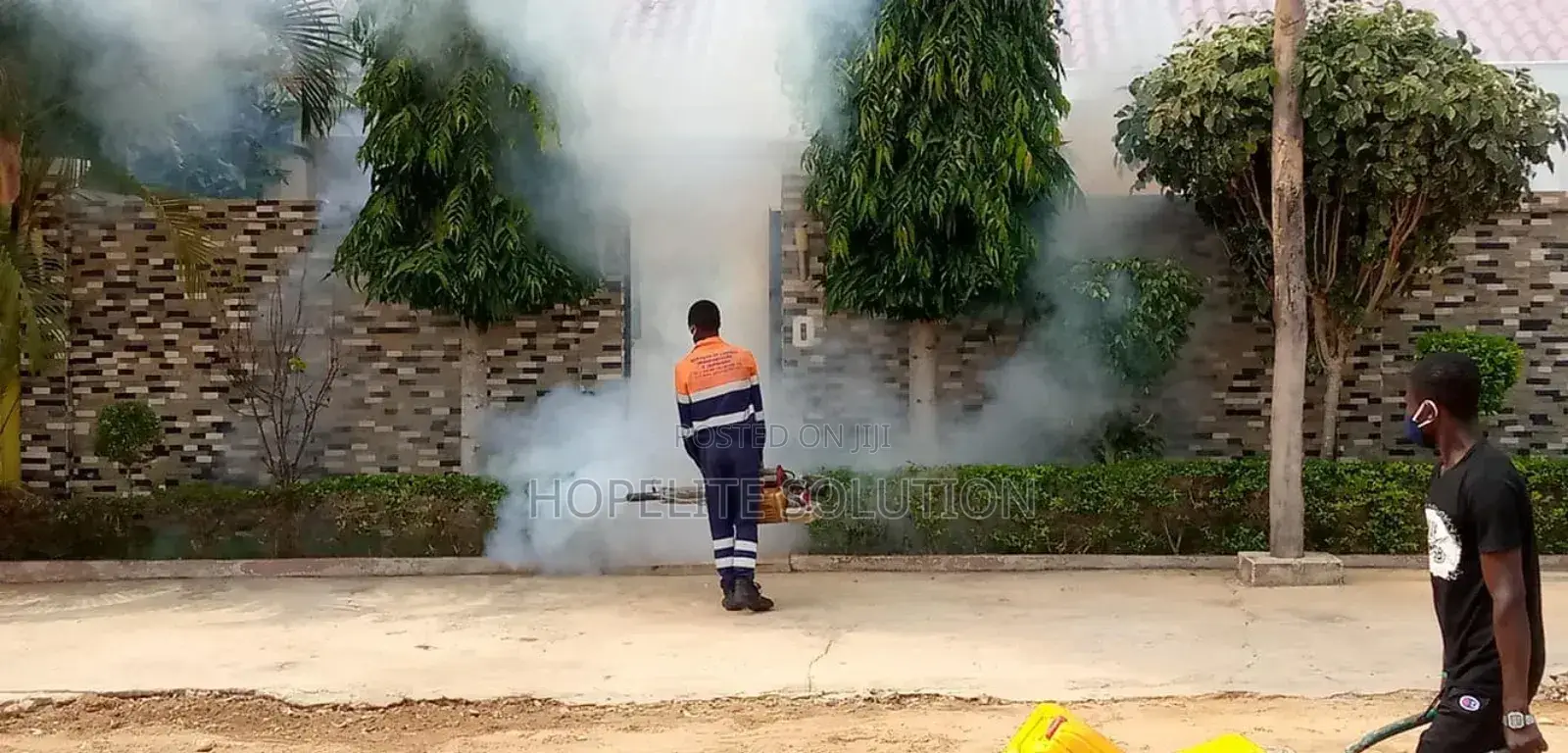 Cockroaches Extermination and Fumigation Services