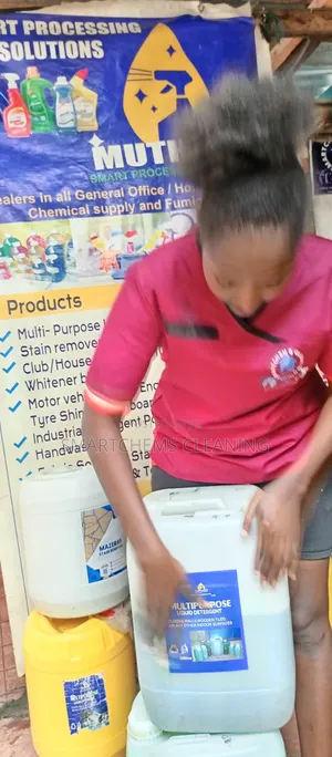 Stains Cleaner