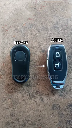 Car Remote Repair/Upgrade (Autowatch Repair)