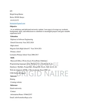 IT CV, Web Development Job