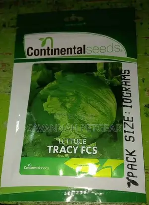 Tracy FCS Lettuce Seeds - 10 Grams