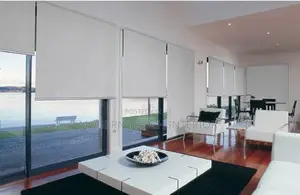 Sleek Horizontal Sunscreen Blinds
