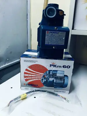 Pedrollo 0.5 Water Pump