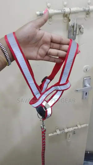 Dog Leash Collar Pet Leads Belt Rope Harness Chest Strap
