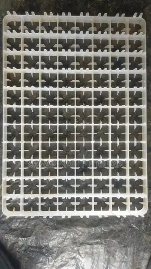 Brand New Chicken Hatching Setter Tray for Incubator