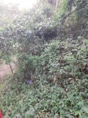 5 Acres of Prime Land for Commercial or Residential in Karen