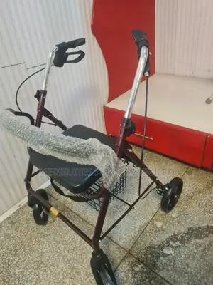 Rollator Wih Wheels.