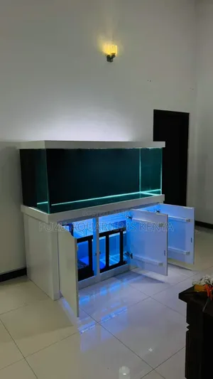 Aquarium With Best Filtration