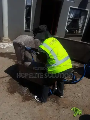 Fast Dry Sofa Cleaning