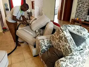 Professional Couch/Sofaset Cleaning Services