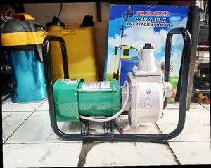Shiyuan Dc 2" Surface Water Pump