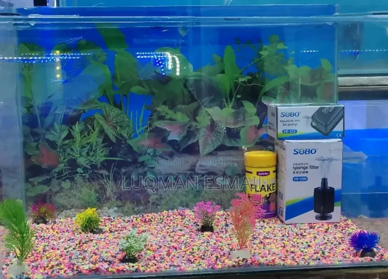 Cheap Aquariums