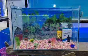 Cheap Aquariums