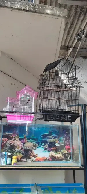 Cages For, Budgies, Love Birds, African Grey And Canaries