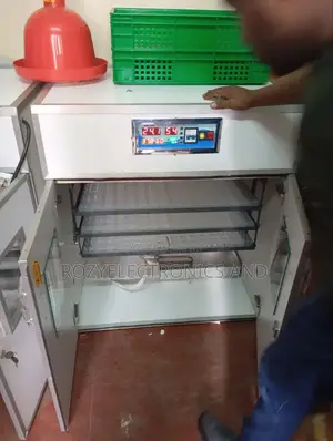 528 Eggs Incubators Automatic AC DC