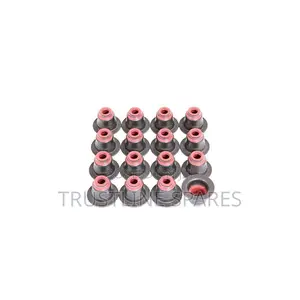 BMW(E46) (E90)(E60)(E84)(E53)(E70) - Valve Stem Seal Frey