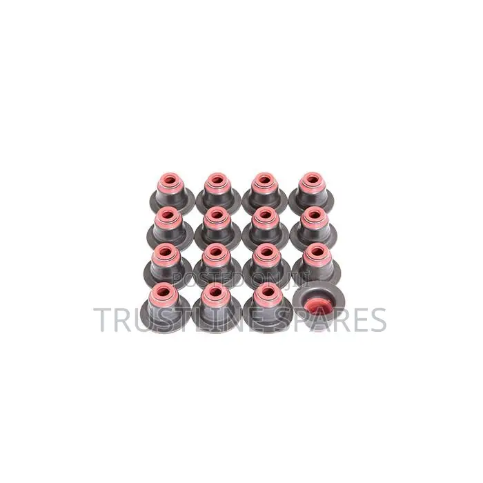 BMW(E46) (E90)(E60)(E84)(E53)(E70) - Valve Stem Seal Frey