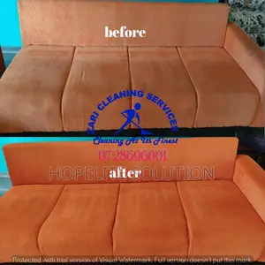 Smart Home Sofaset and Carpet Cleaners