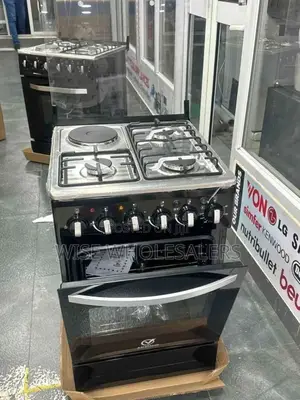 Saratech 60×50 3g1e Standing Cooker*