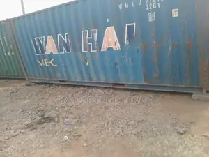 Clean Container for Storage-20ft Dry