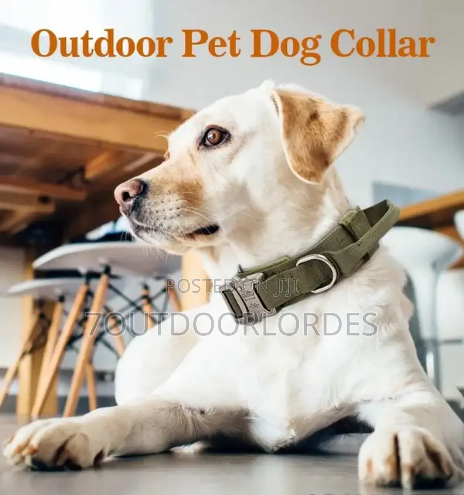 Dog Collars Tactical