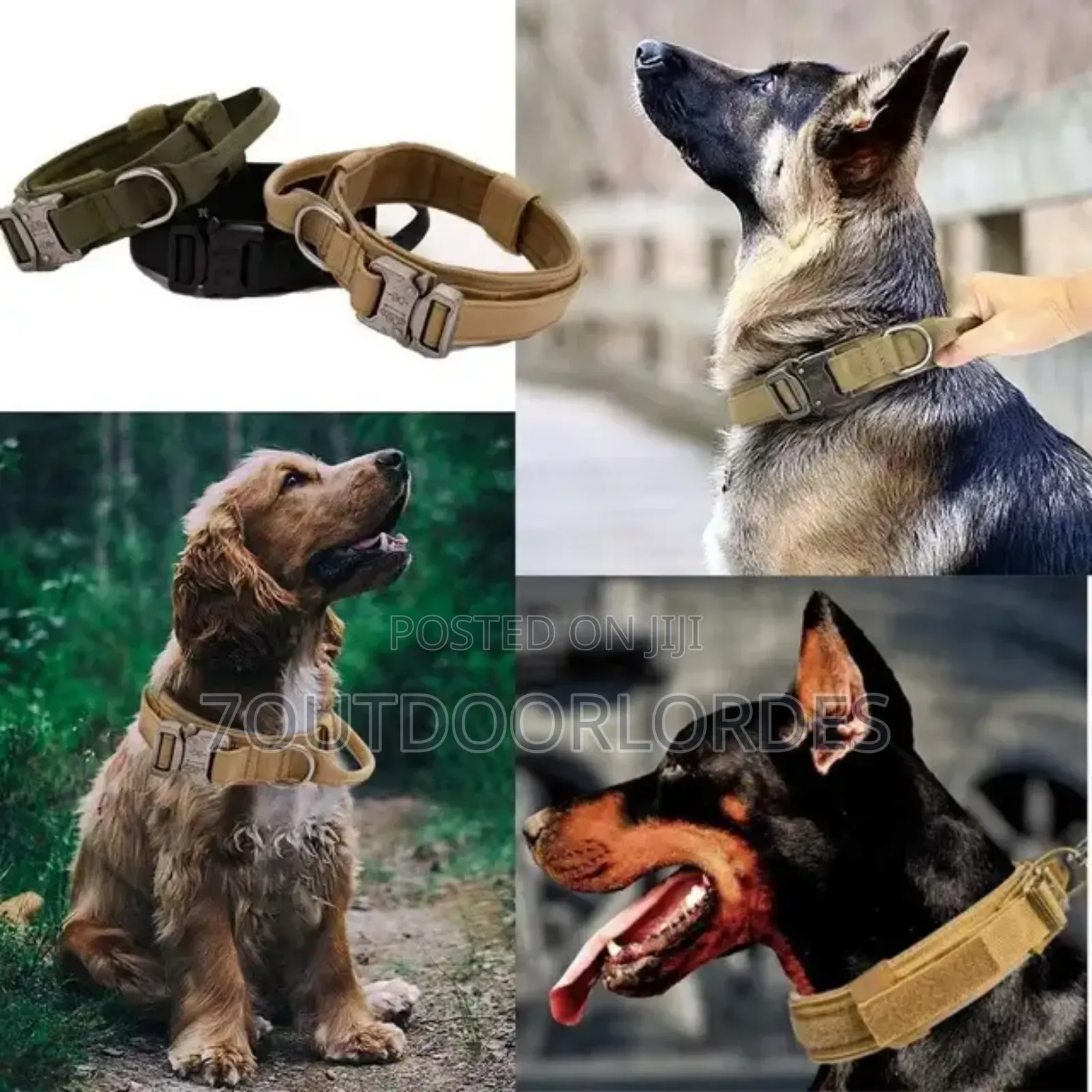 Dog Collars Tactical