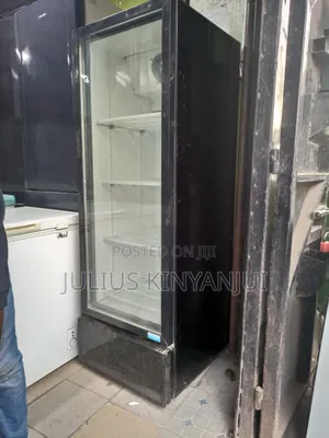 Display Fridge 400l