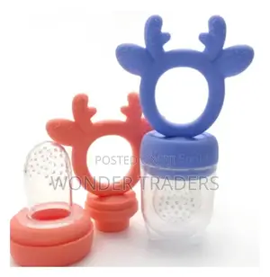 Fruit Pacifier (Doubles Up as a Teether )