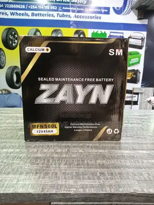 NS60L Zayn Car Battery