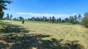 3 Acres Kibiko
