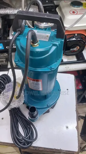 Submassible Water Pump 1hp Shallowell