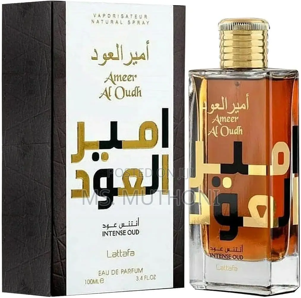Ameer Al Oudh