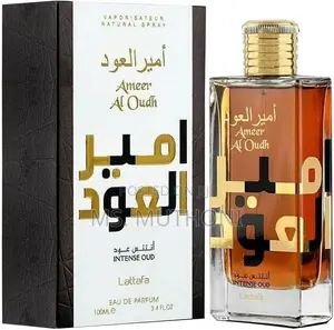 Ameer Al Oudh