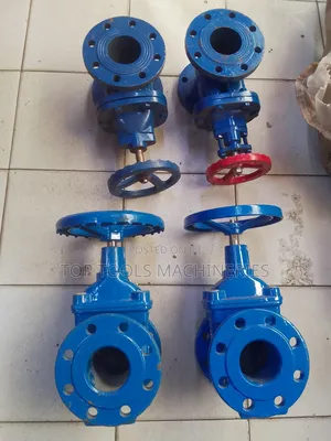 Sluice Valve 3 Inch